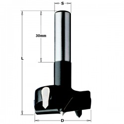 Boring bits with parallel shank